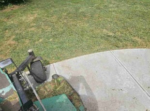 Michelle R.'s Lawn Mowing service result