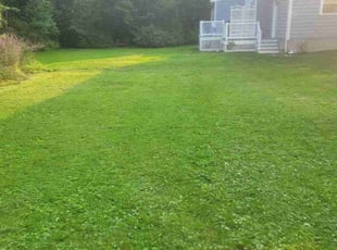 Kerri P.'s Lawn Service service result