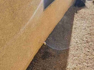 Cleanups by Lamont Johnson for Erika D. in Las Vegas, NV