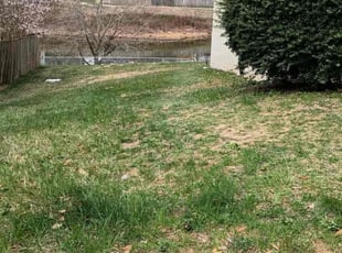 Bush Trimming by Manny Chavez for Dyrl J. in Stafford, VA