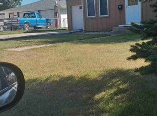 Brett E.'s Yard Cutting service result