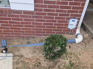 Bush Trimming by Tim Kinsland for Pat G. in Conway, AR