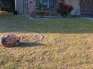 Cleanups by Derick Hayes for Rebecca B. in Fairburn, GA