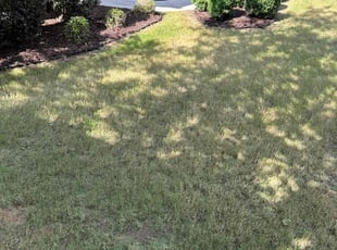 Lucas S.'s Mulching service result