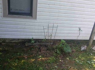 Cleanups by Juan Palmer for Patty W. in Sapulpa, OK