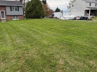 Sarai H.'s Grass Cutting service result