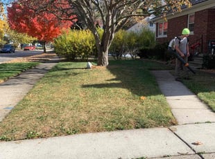Leaf Removal by Kyle Yacko for Salman H. in Warren, MI