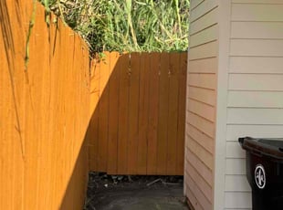 Bush Trimming by Frank Davis for Cornell H. in New Orleans, LA