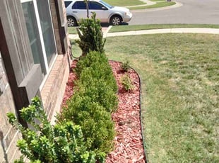 Weeding by Sam Tyler for Mark M. in Oklahoma City, OK