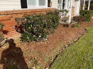 Bush Trimming by Andree Dualan for Susan W. in Virginia Beach, VA
