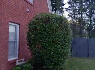 Bush Trimming by Andrew Jones for Christian C. in Powder Springs, GA