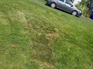Landscaping by Miguel Santos for Patrick W. in Bethesda, MD