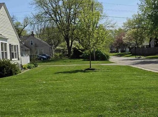 Michael R.'s Lawn Care service result
