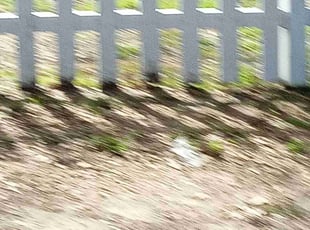 Cleanups by Peter Dean for Ann T. in Durham, NC