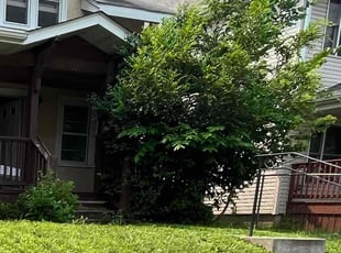 Bush Trimming by Sosa Petersen for Jaquilla M. in Minneapolis, MN