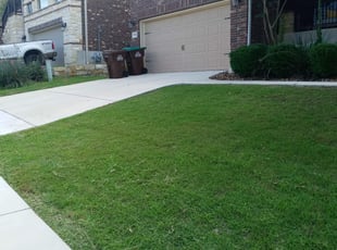 Cleanups by Jason Westgor for Alida B. in Helotes, TX