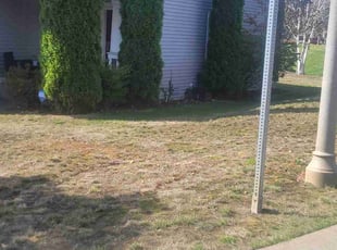 Leaf Removal by Lakota Calkins for Reginold C. in Bonney Lake, WA