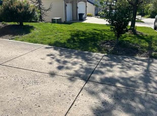 Jeannine K.'s Lawn Mowing Service service result