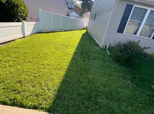 Caitlin C.'s Lawn Mowing Service service result