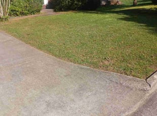 Bush Trimming by Jazzmin Earl for Kenny M. in Lithonia, GA