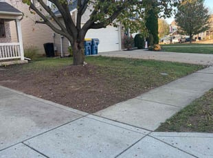 Leaf Removal by Gilberto Garcรญa for Willie W. in Indianapolis, IN