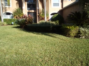 Bush Trimming by Rodney LeDuc for Rida R. in Tampa, FL