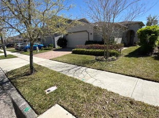 Paul P.'s Lawn Care service result