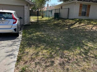 Leaf Removal by Aldo Mancha for Brandon P. in Universal City, TX