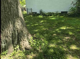 Cleanups by CHRISTOPHER SALYERS for Christina A. in Pickerington, OH