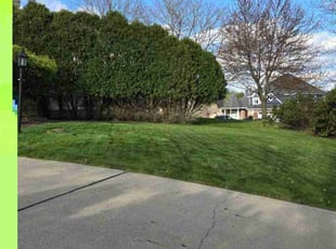 Brayden M.'s Lawn Mowing service result