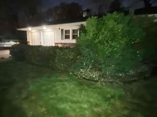 Bush Trimming by Ben Matthews for Jaqi b. in Bloomington, MN