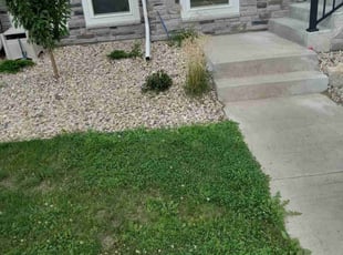 Weeding by Kevin Rhyne for Isabel P. in Fitchburg, WI