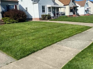 ROCHELLE H.'s Grass Cutting service result