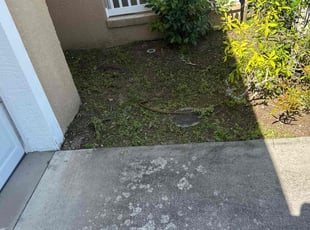 Weeding by Peterson Dariste for Lora K. in Port Charlotte, FL
