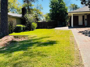 TY L.'s Lawn Service service result