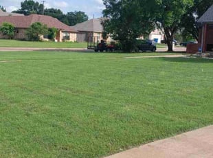 Shaddiff W.'s Lawn Mowing service result