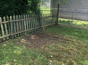 Cleanups by Travis Gehlhausen for Mario G. in Louisville, KY