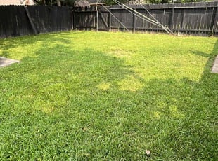 Barbara S.'s Grass Cutting service result