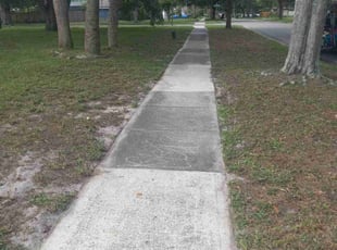Bush Trimming by Bruce Prince for Wei T. in Orlando, FL