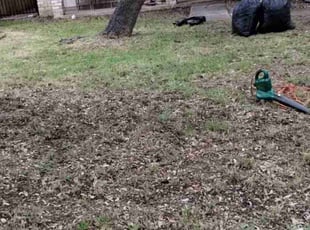 Leaf Removal by Duilio Leonardo Cadena Gonzalez for Elizabeth D. in San Antonio, TX