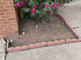 Weeding by Alvin Barrios for Rachel T. in Oklahoma City, OK