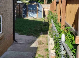Bush Trimming by Kevin Johnson for Catherine W. in Denver, CO