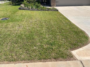 Jolene H.'s Lawn Service service result