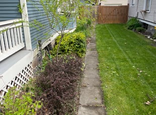 Bush Trimming by Travis Mortensen for Kara T. in Spokane, WA