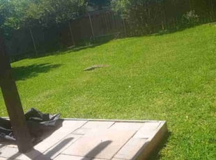Val O.'s Lawn Mowing service result