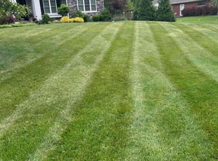 Bush Trimming by Robert Peters for Leo G. in Cincinnati, OH