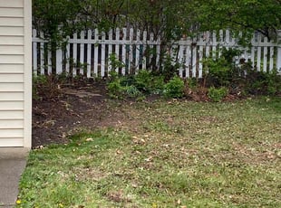 Leaf Removal by Tefel Rivera for Samantha S. in Cleveland, OH