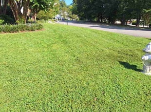 James J.'s Lawn Care service result