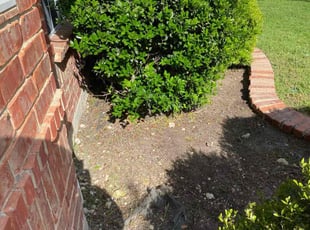 Weeding by Ivan Pichardo for Sharon T. in DeSoto, TX