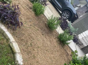 Weeding by Jason Bernal for Mike L. in Austin, TX